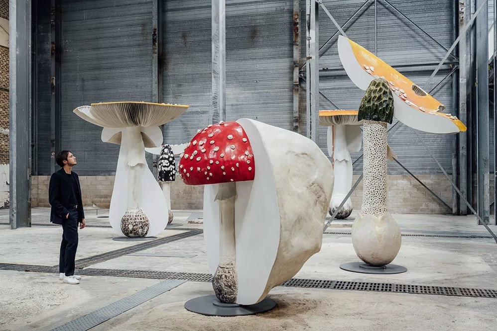 инсталляция с грибами художника Карстена Хёллера